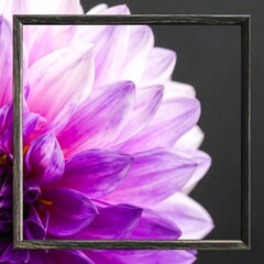 Close-up flower in frame