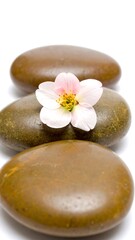 Three smooth stones with a delicate blossom