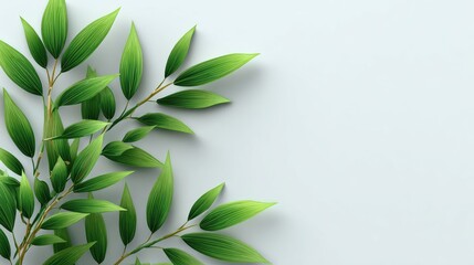 Obraz premium Lush green leaves, light gray backdrop