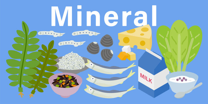 いろいろなミネラルのイメージイラスト（三大栄養素・5大栄養素）