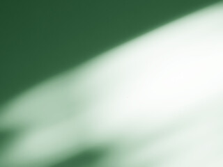 Background green abstract line shadow overlay on cement wall floor beige mockup product cosmetic summer tropical nature presentation frame template eco backdrop environment