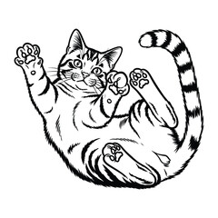 Playful Cat Silhouette: A delightful black and white illustration captures the charming antics of a playful cat, rolling around with paws outstretched in a fun, illustrative moment.