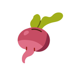 Red radish or beet icon. Beetroot with green tops. Organic root vegetable. Natural farm food for healthy eating. Harvest of agricultural crop. Flat isolated vector illustration on white background