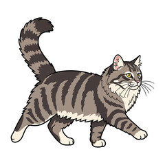Majestic Maine Coon's stroll: An elegantly illustrated Maine Coon cat confidently strides, its fluffy tail held high, in this captivating cartoon.