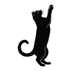 Elegant Silhouette of a Playful Feline: A graceful black cat stands poised, front paws raised in an elegant silhouette. This artistic depiction captures the agility.