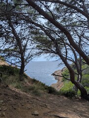 Île Verte island near La Ciotat, French Riviera (France)