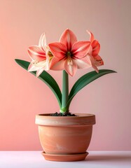 A pink blossom in a decorative pot, showcasing a fresh spring floral arrangement