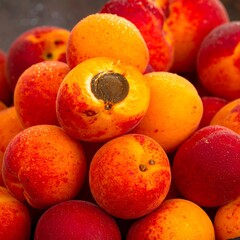 Close-up of fresh apricots