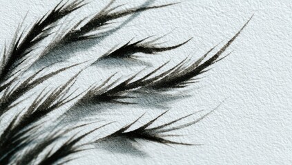 Obraz premium Close-up of dark, feathery grasses on a light background