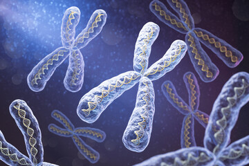 Chromosomes with DNA double helix molecule, Science biotechnology, 3d illustration