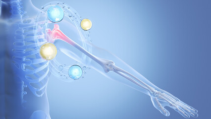Blue X-ray of human shoulder with painful spot highlighted in red and vitamin bubbles rotating around the arm for recovery. 3D illustration.