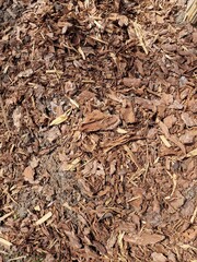 close-up of wood chips