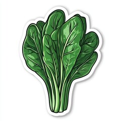 Fresh Spinach: A vibrant illustration of a fresh spinach bunch, perfect for culinary and health-related projects. This image focuses on freshness, healthy eating.