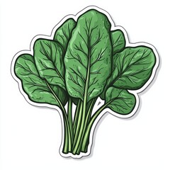 Vibrant Spinach Illustration: A vivid illustration presents a fresh bundle of spinach, showcasing its crisp green leaves and healthy appeal. This image is ideal for illustrating nutritious food.