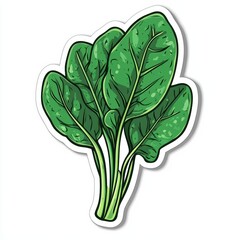 Spinach Leaf Freshness: A vibrant, illustrated depiction of fresh spinach leaves, a symbol of healthy eating, capturing the crispness and vitality of this essential green.