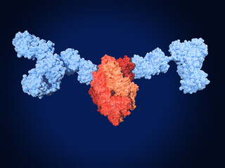 Neutralizing monoclonal antibodies in complex with prefusion RSV F protein