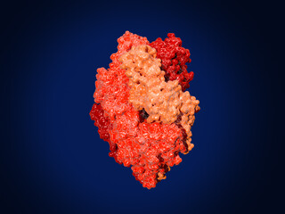 The prefusion respiratory syncytial virus (RSV) fusion (F) protein