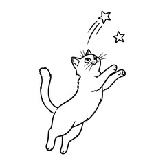 Cat and Starry Sky: A whimsical illustration captures a playful moment of a curious cat reaching towards a radiant star in a night sky.
