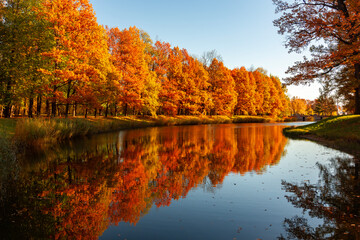 Catherine park in autumn foliage, Tsarskoe Selo (Pushkin), Saint Petersburg, Russia