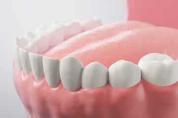 Healthy human teeth 3D illustration.