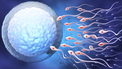 Sperm approaching egg cell for fertilization