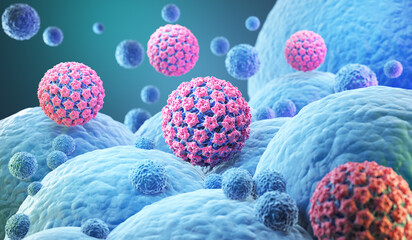 HPV Virus Particles Interacting with Human Cells