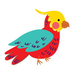 parrot bird illustration