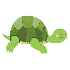green turtle illustration