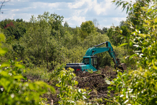 Excavator clearing land in a forested area on a sunny day