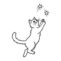 Whimsical Stargazer: A playful sketch of a curious kitten reaching for whimsical stars, capturing the innocent charm of a moment of wonder.