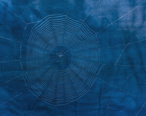 Fototapeta premium Delicate spiderweb glistens against a deep blue backdrop, perfect for nature blogs or Halloween themed graphics