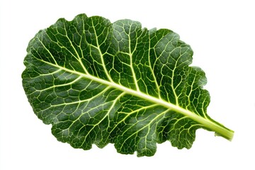 Close-up of a vibrant green leaf