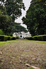 Green path leading to the presidential palace in Bogor