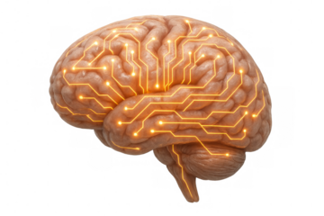 Brain integrating artificial intelligence and technology circuit concept