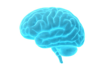 Human brain holographic rendering showing intelligence and thinking process