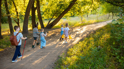 Group of children hiking forest path with sunlight shining through trees. Concept of family...