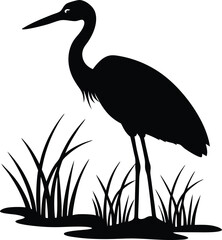 A wild great blue heron with a long beak stands in the shallow water of the shore