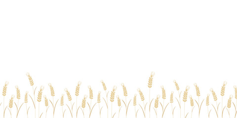 Horizontal banner with silhouette of ripe ears of wheat, rye, barley, or millet. Template with grain crops and copy space for text. Grain harvest, vector graphic © Iry