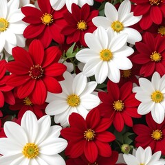 Close-up of red and white flowers