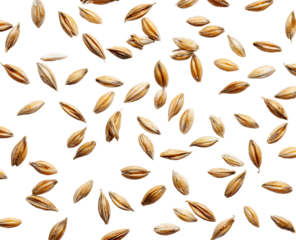 Scattered grains of pale-tan cereal against black background