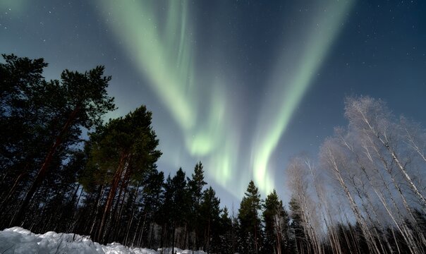 spectacular and rare white aurora borealis with ethereal swirls and curtains of pale green light dancing across a clear - Powered by Adobe