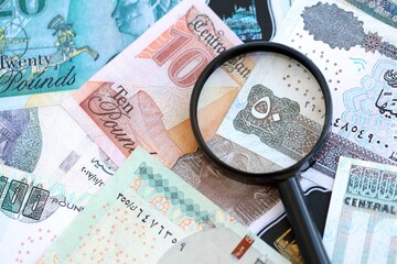 Egyptian pound currency money bills and magnifying glass. The concept of financial monitoring