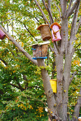 Colorful birdhouses decorate a tree in a vibrant autumn setting