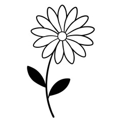 minimal osteospermum ecklonis line art flower  vector on white