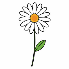 minimal vector of a oxeye daisy flower line art on white
