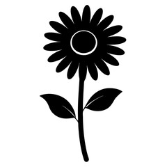 Fototapeta premium oxeye daisy silhouette on white background