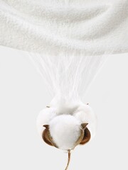 Soft Cotton Fibers Transforming into Luxurious Fabric
