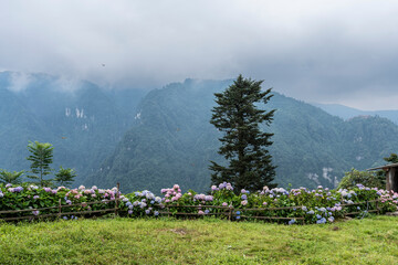 Huayan peak monastery garden, Emeishan, Leshan Prefecture, Sichuan, People's Republic of China, Asia