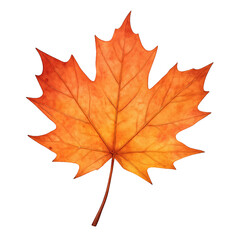 Fototapeta premium Vibrant Autumn Maple Leaf Isolated on Black. Ai generation