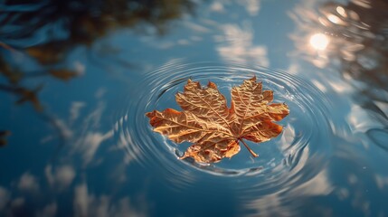 Floating Autumn Leaf on Water Surface